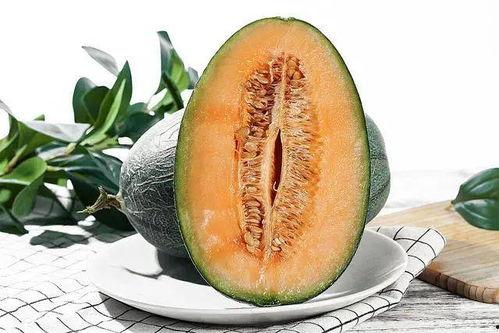 吃瓜爱吃哈密瓜,吃瓜爱好者的甜蜜诱惑