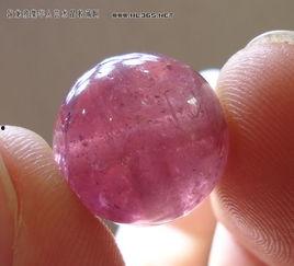 红灯笼瓜怎么吃,解锁美味新体验