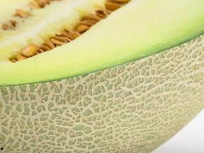 只吃瓜的瓤,探索只吃瓜瓤的奇妙世界