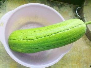 水瓜产妇可以吃么,产妇的健康选择