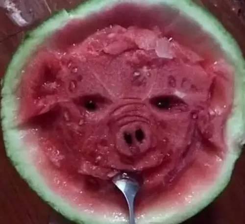 吃瓜的艺术视频,跟随视频一探究竟