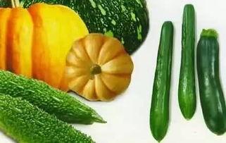 吃瓜的骚木,揭秘娱乐圈的神秘面纱