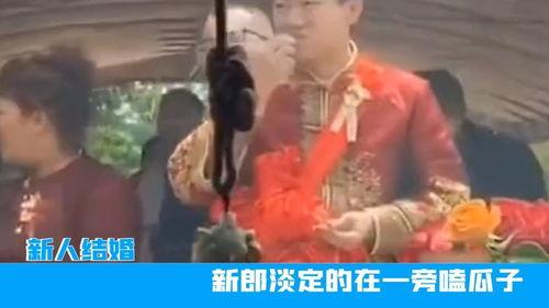 结婚像吃瓜群众