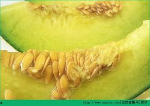 哈密瓜前期孕妇可以吃吗,美味与营养的双重享受