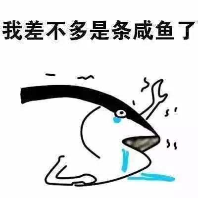 咸鱼之王礼之用吃瓜,一场别开生面的吃瓜盛宴