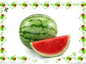 吃瓜有什么感想