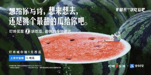 吃瓜长篇文案